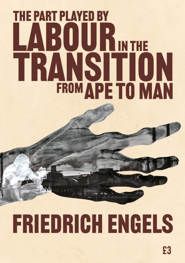 The Part Played by Labour in the Transition from Ape to Man