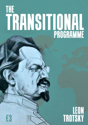 Transitional Programme