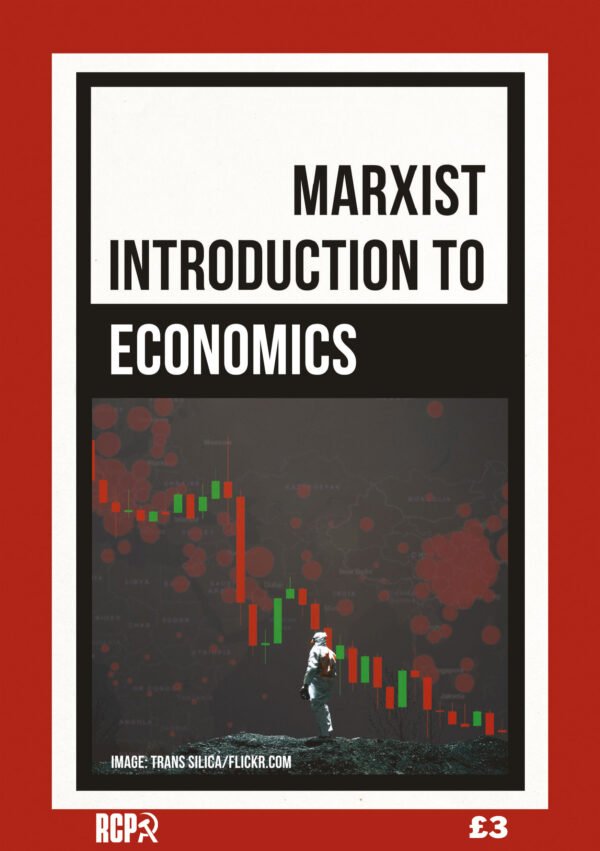 A Marxist Introduction to Economics