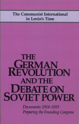 The German Revolution and the Debate on Soviet Power