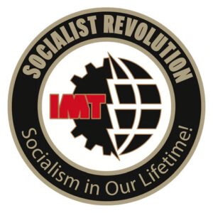 Socialism in Our Lifetime badge